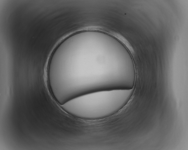 X0000102401436200808010946