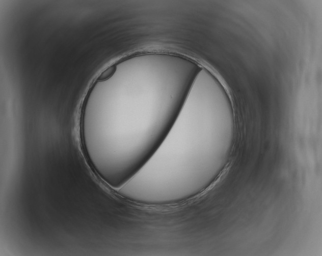 X0000102401437200808010946