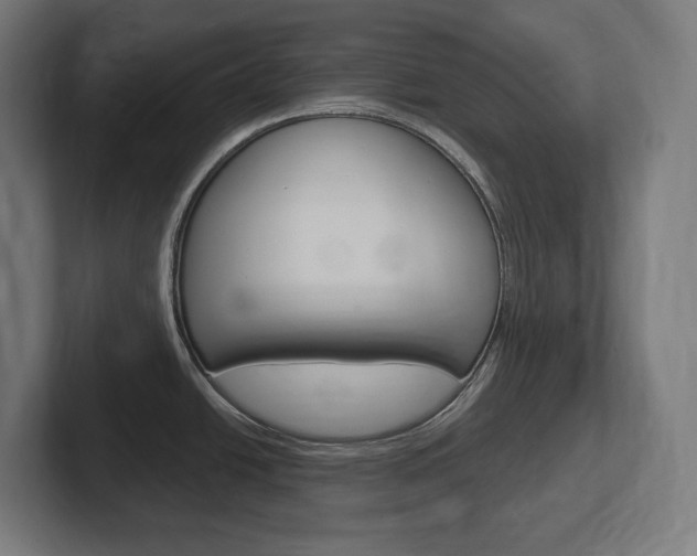 X0000102401438200808010946