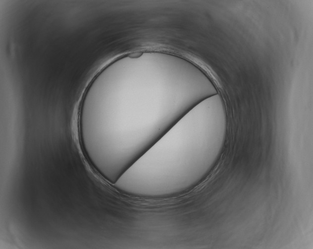 X0000102401439200808010946