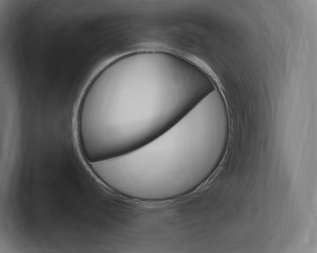 X0000102401440200808010946