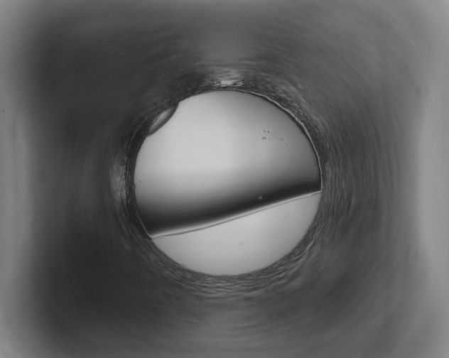 X0000102401442200808010945