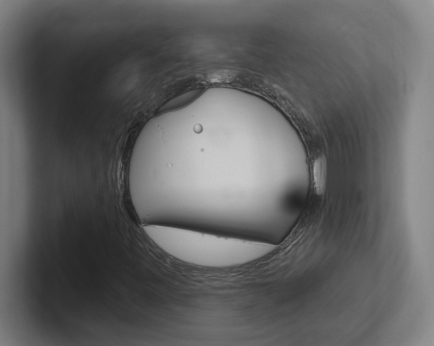 X0000102401443200808010945