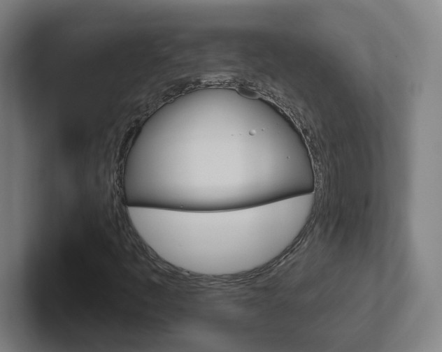 X0000102401445200808010945