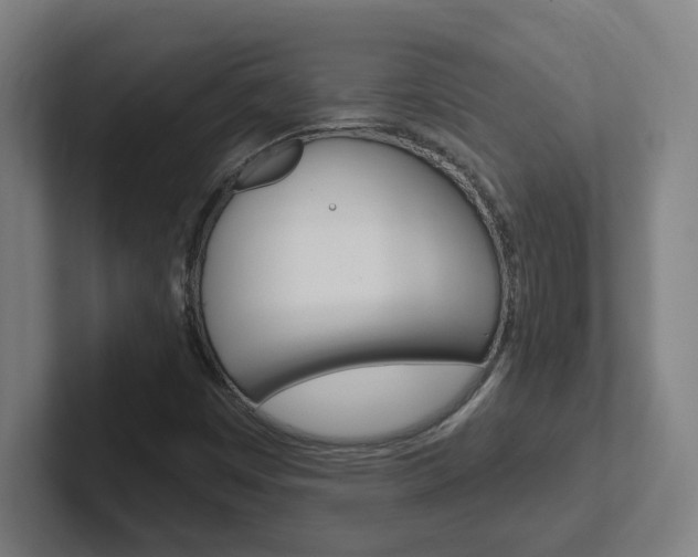 X0000102401449200808010945