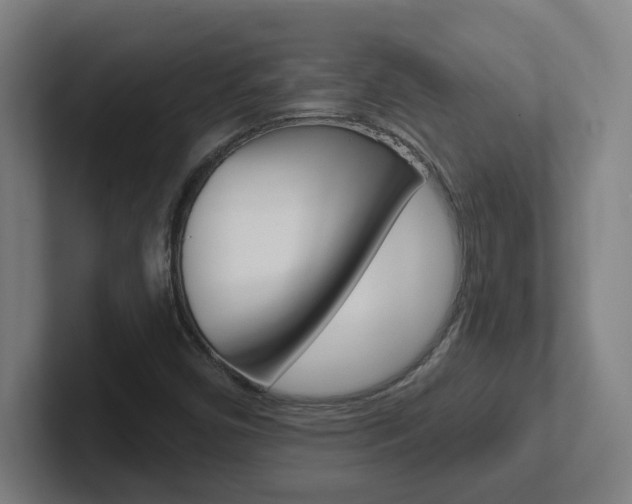 X0000102401450200808010945