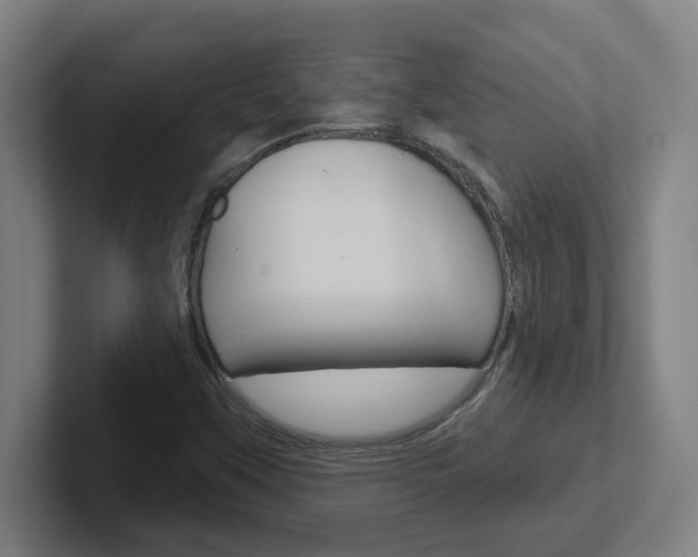 X0000102401451200808010945
