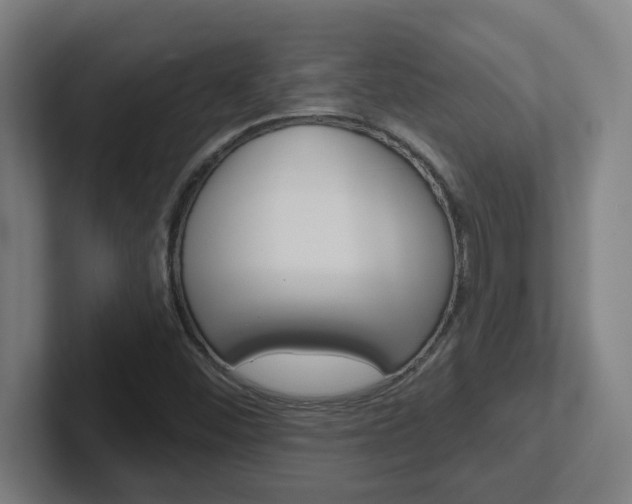 X0000102401452200808010945