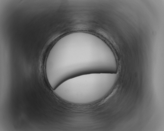X0000102401453200808010945
