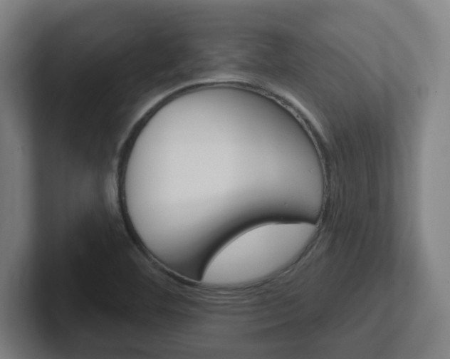 X0000102401460200808010945