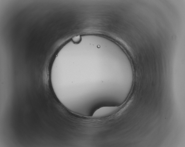 X0000102401461200808010945