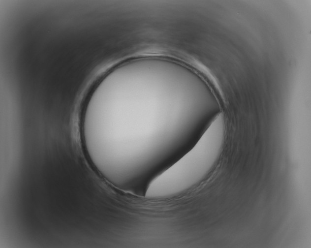 X0000102401464200808010945