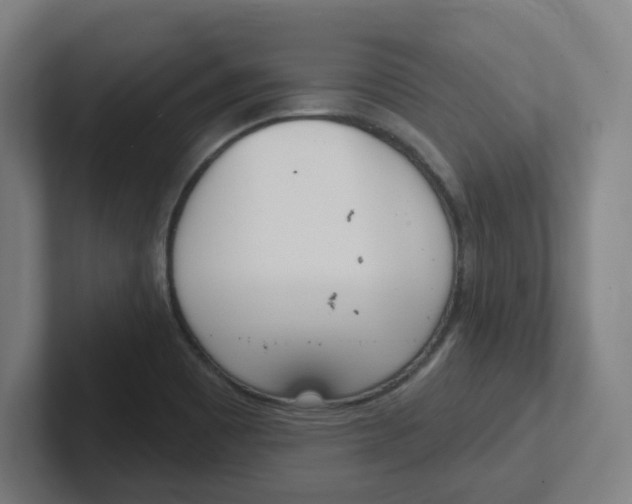 X0000102401465200808010945