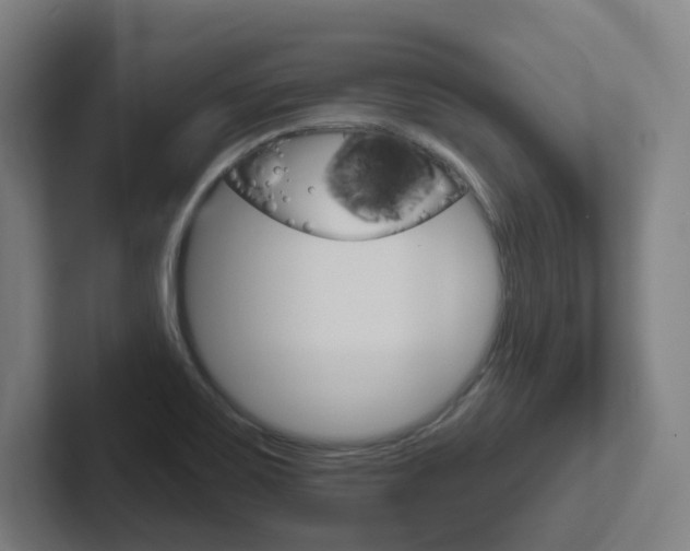 X0000102401467200808010945
