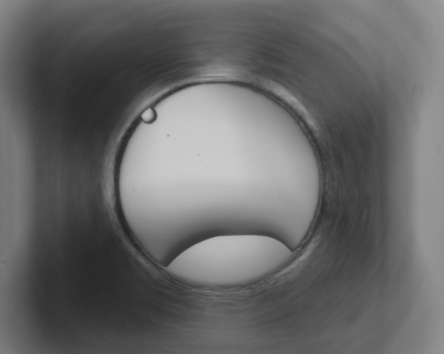 X0000102401469200808010945