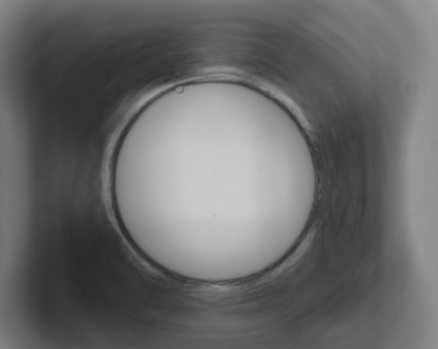 X0000102401470200808010945