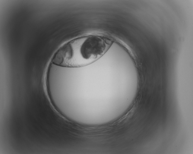 X0000102401471200808010945