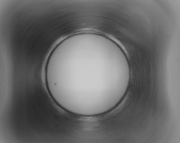 X0000102401474200808010945