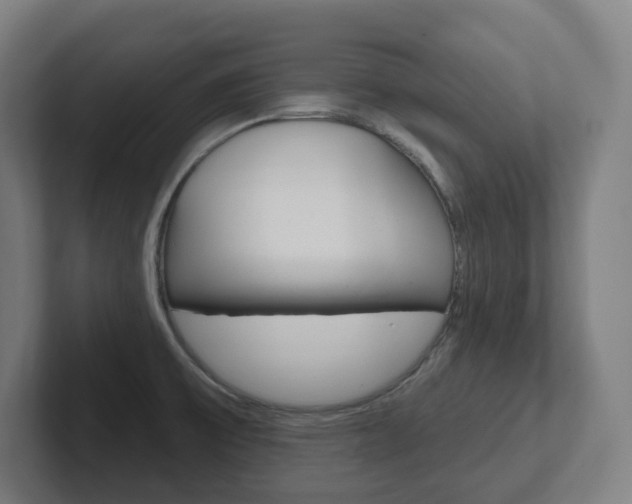 X0000102401475200808010945