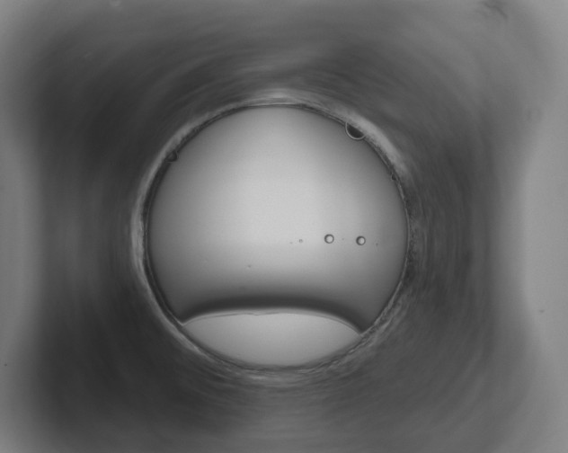 X0000102401476200808010945