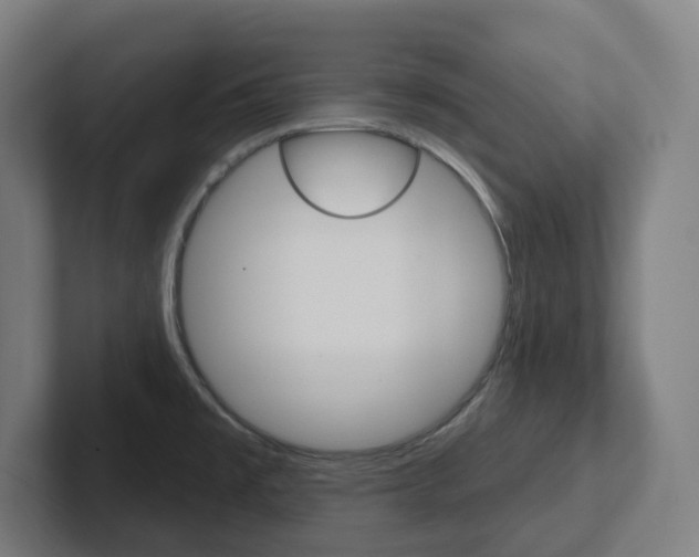 X0000102401477200808010945