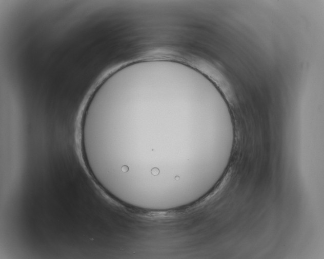 X0000102401478200808010945