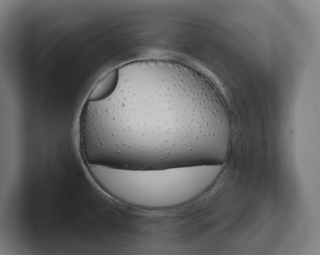 X0000102401479200808010945