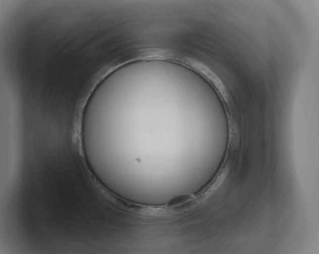 X0000102401481200808010945