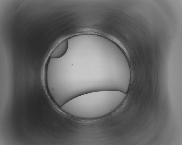 X0000102401482200808010944
