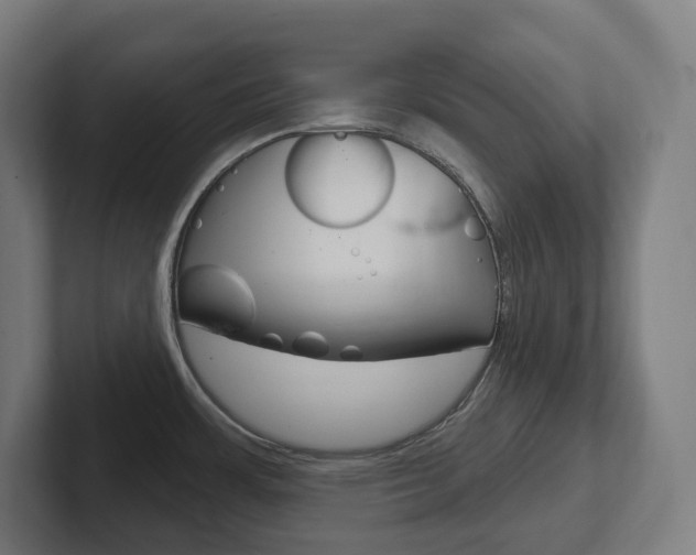 X0000102401483200808010944