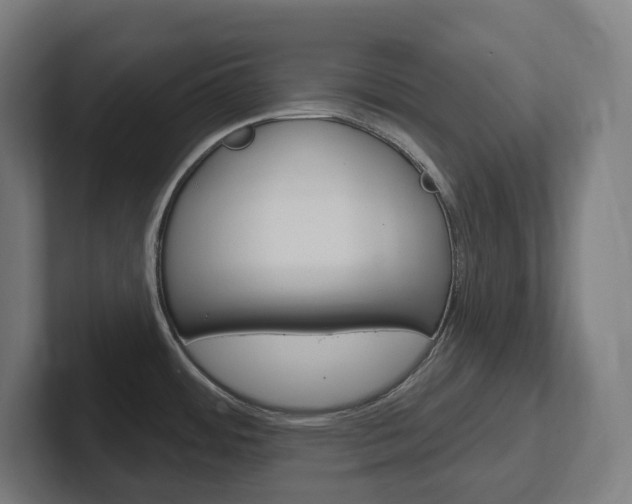 X0000102401484200808010944