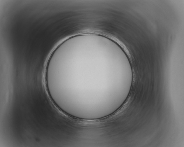 X0000102401486200808010944
