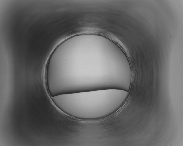 X0000102401487200808010944