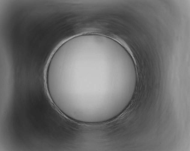 X0000102401488200808010944