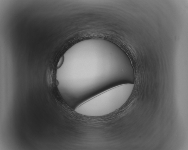X0000102401490200808010944