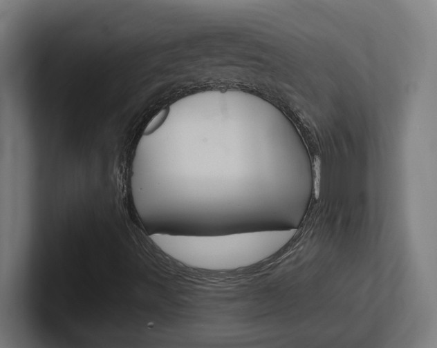 X0000102401491200808010944