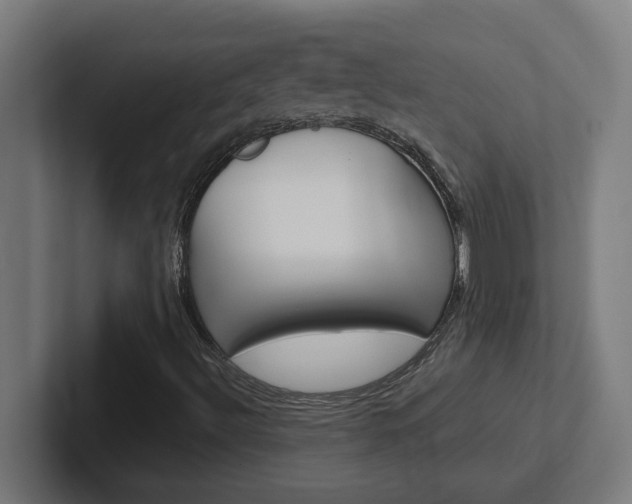 X0000102401492200808010944