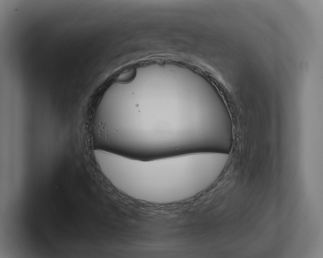 X0000102401496200808010944