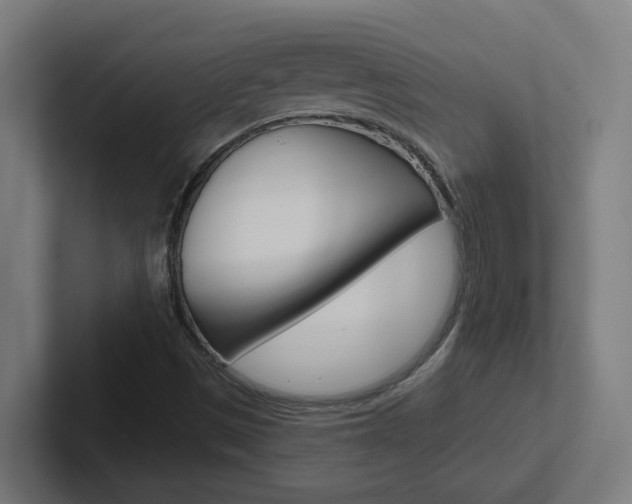 X0000102401497200808010944