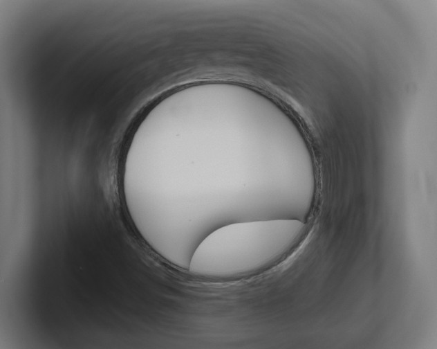 X0000102401498200808010944