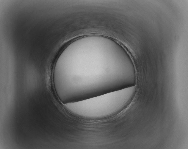 X0000102401499200808010944