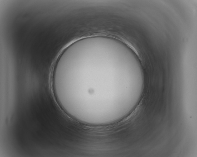 X0000102401500200808010944