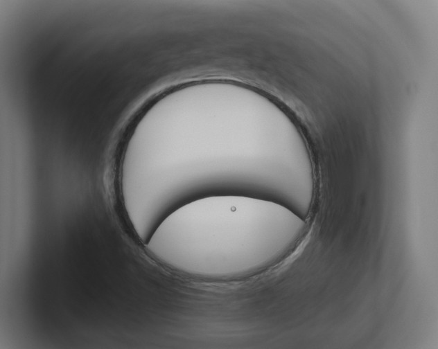 X0000102401502200808010944