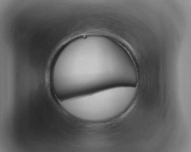 X0000102401506200808010944