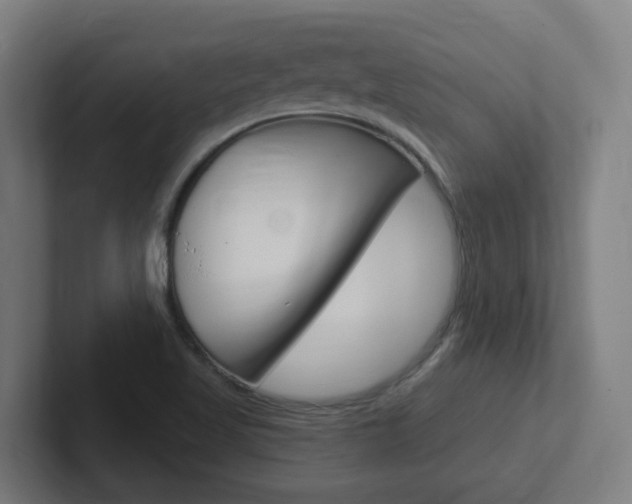X0000102401509200808010944