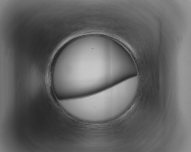 X0000102401510200808010944