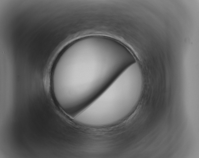 X0000102401511200808010944