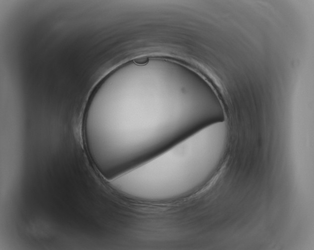X0000102401513200808010944