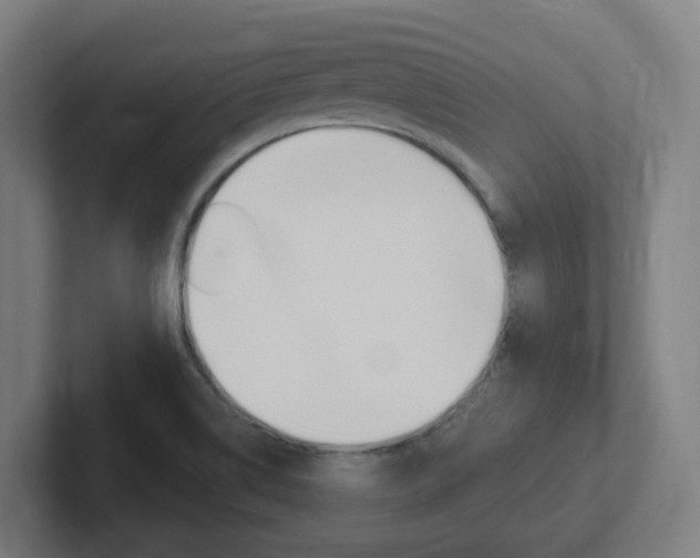 X0000102401514200808010944