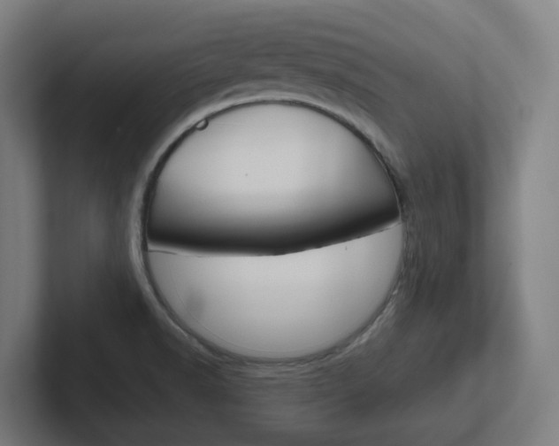 X0000102401518200808010944
